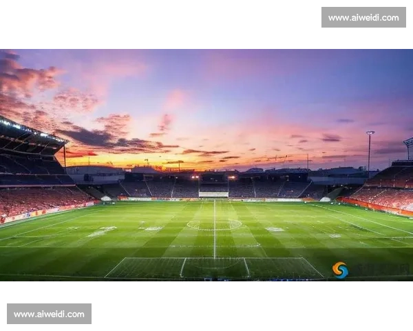 绿茵赛场上的激情碰撞与青春梦想的荣耀征程